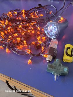 Halloween, animated skull strobe.Blinking strobe LED string lights 28'