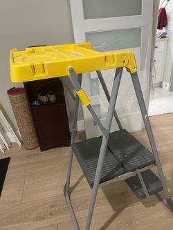 Unique ladder. Only $30
