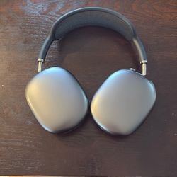 Apple Headphones Black