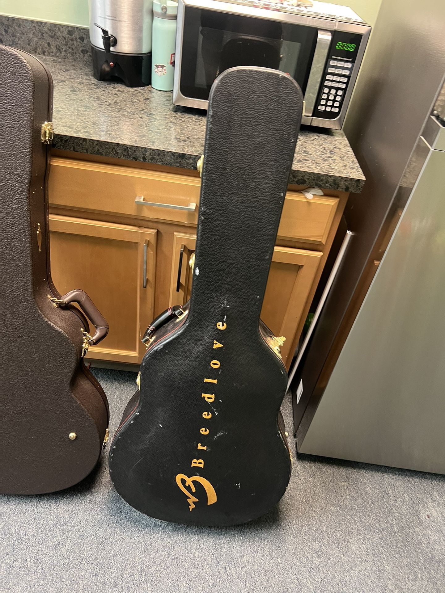 Estuches Para Guitarras