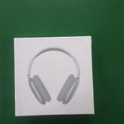 Apple Airpod Max 🎧 - Silver/White 