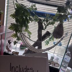 Gecko / Reptile Tank And Supplies 