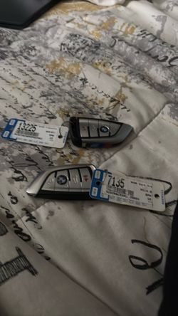 BMW keys