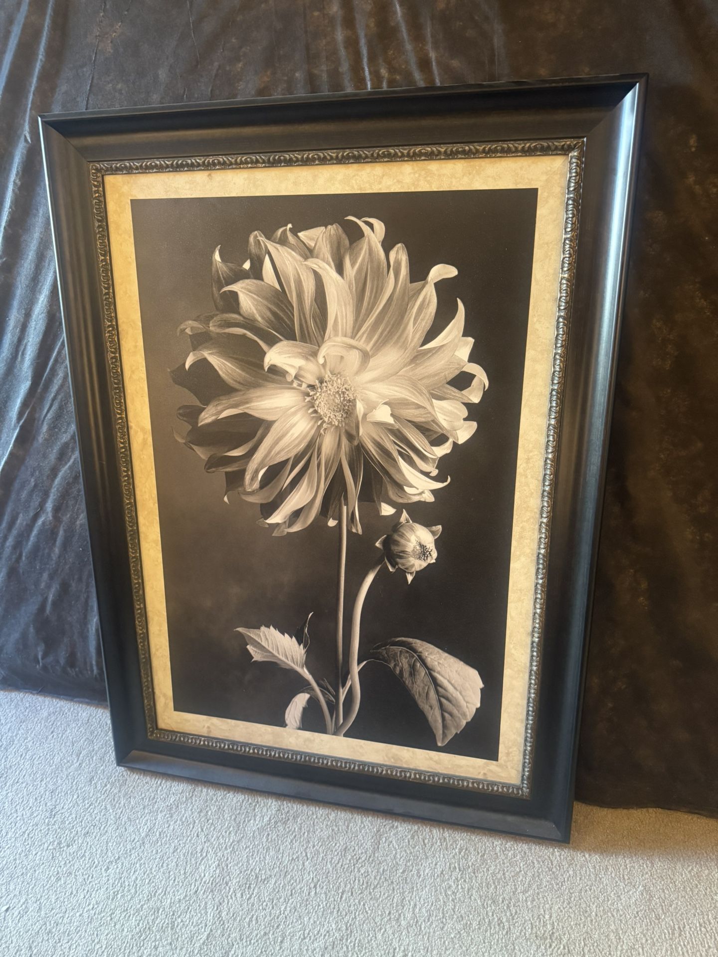 Framed Flower Picture