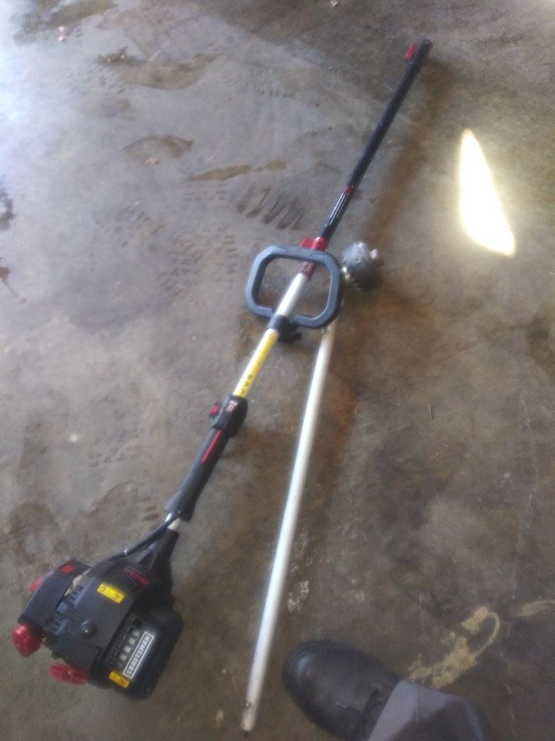 Weedeater with pole saw attachment