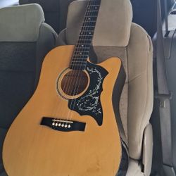 crustic guitar
