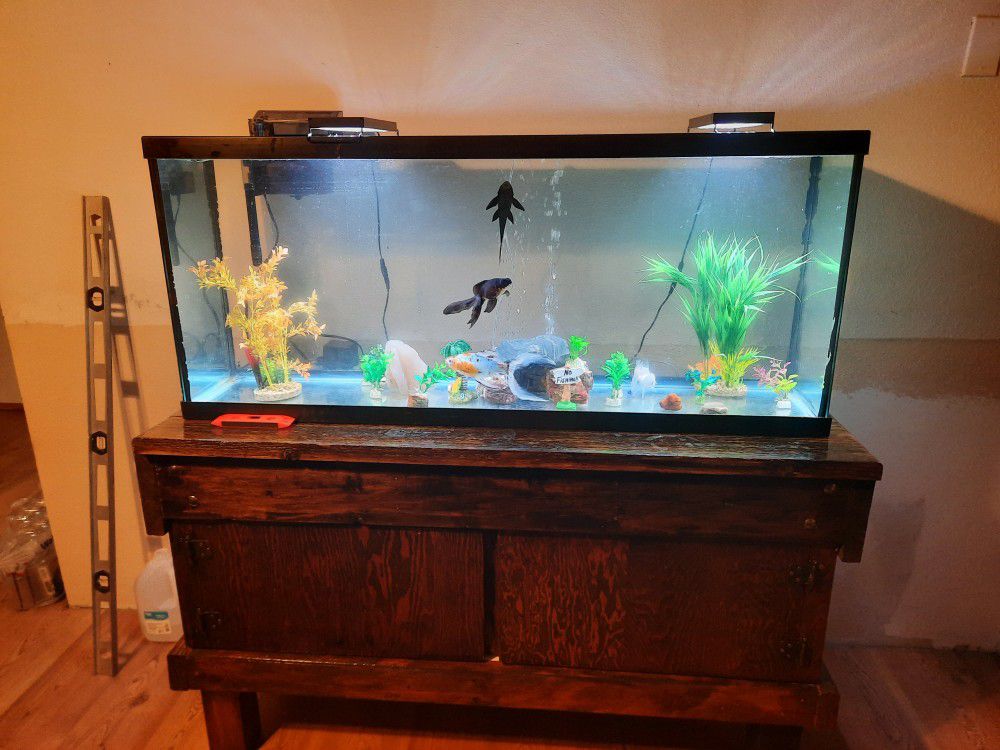 50 Gallon Fish Tank/terrarium With Solid Wooden Stand