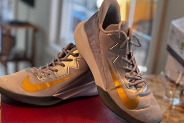 Nike Precision 4 in the 'Wolf Grey Metallic Gold'