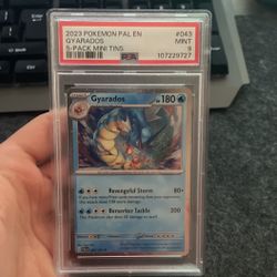 PSA 9 Gyarados 