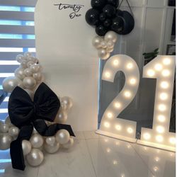 Birthday Backdrop / Party Decoration / Marquee Numbers