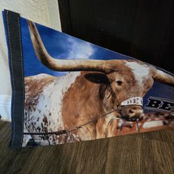 Texas Longhorn Bevo Pennant 