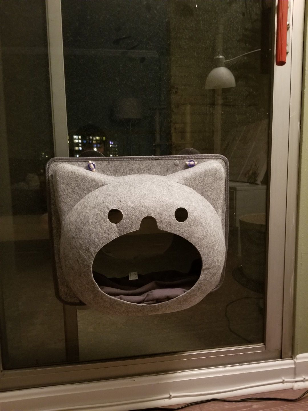 For Cat
