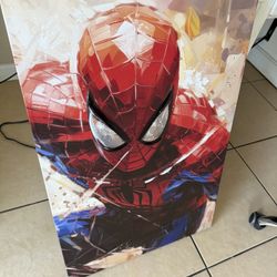Spiderman Picture Frame 