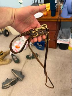 Dog leashes in good shape