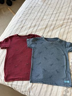 2t Boys, Dino Shirts