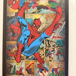 Spider-Man Wall Art