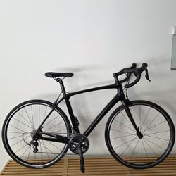 17.8 lb. All-Carbon Trek Domane SLR 6 Racing Bike 