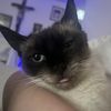 Juan Arce