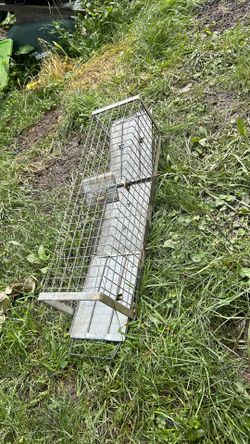 Squirrel/rabbit trap