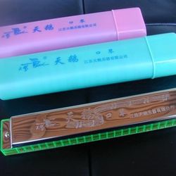 Swan 24 hole Inconceivable Harmonica w/11 Course How to Play Harp
