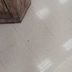 Room available in morrow ga