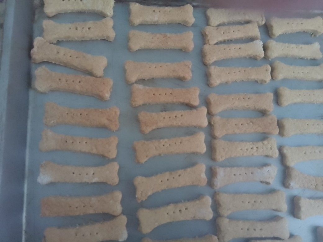 Homemade Doggie Treat