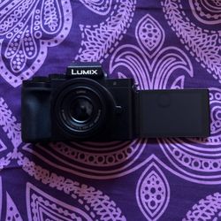 LUMIX G100 