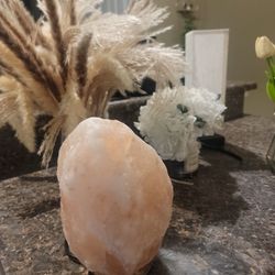 Lamparas De Sal Del Himalaya, Floreros Y Lampara De Noche$5 c/u