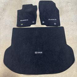 Lexus NX300 Floor Mats