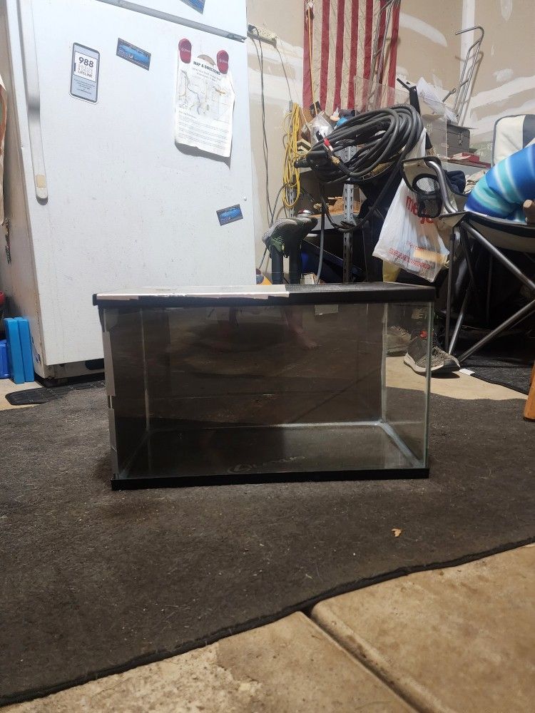 10 Gallon Reptile Tank