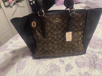 medium size coach