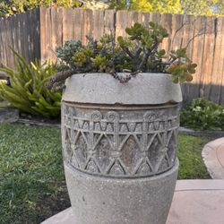 Concrete Planters W/ Succulents 