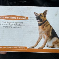 Dog Training Collar