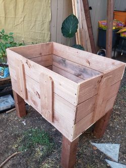 Cama de cultivo