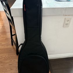 Guitar Case 