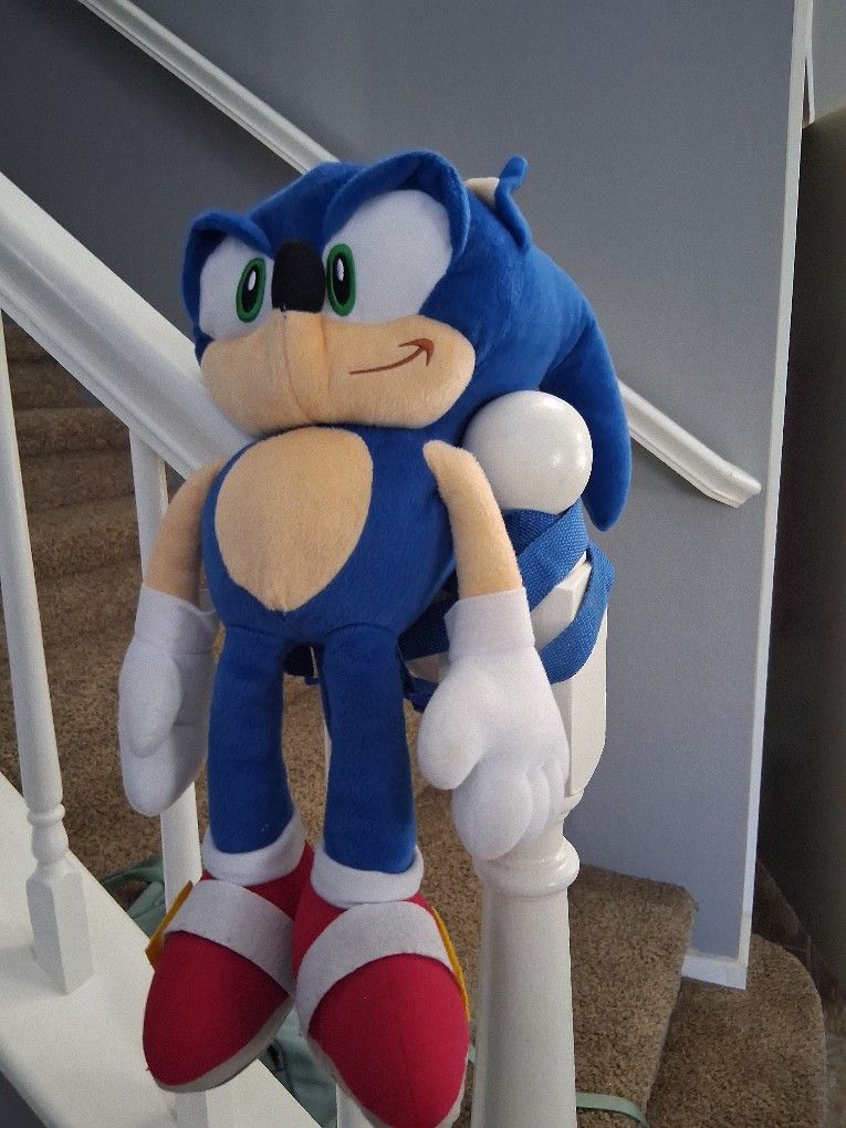 Sonic Bavk Pack
