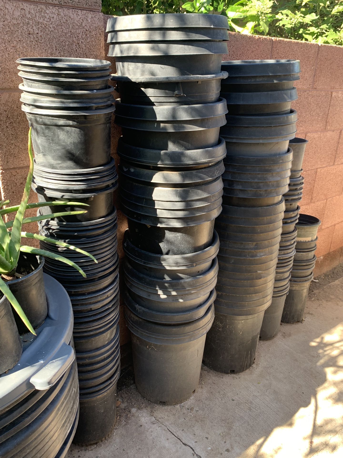 Plants Buckets Pots For Gardening Many To Choose From