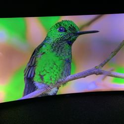 65” Samsung Curve tv