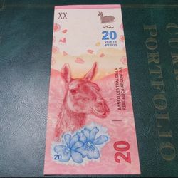 Argentina bankNote 20 Pesos 