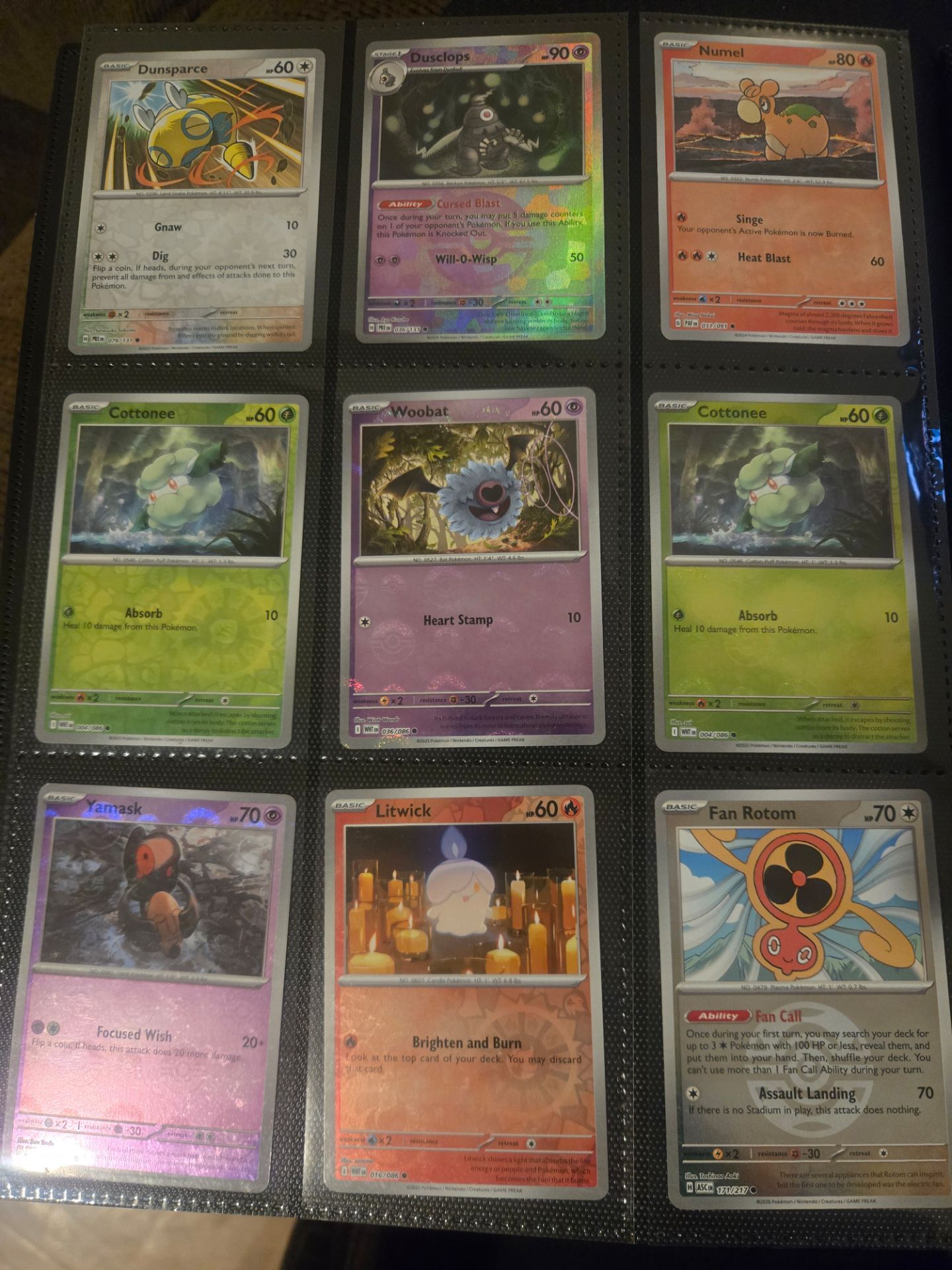 Pokemon binder all holos