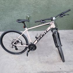 2020 giant 2025 roam 4