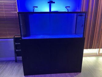 240g tank with stand and ai lights