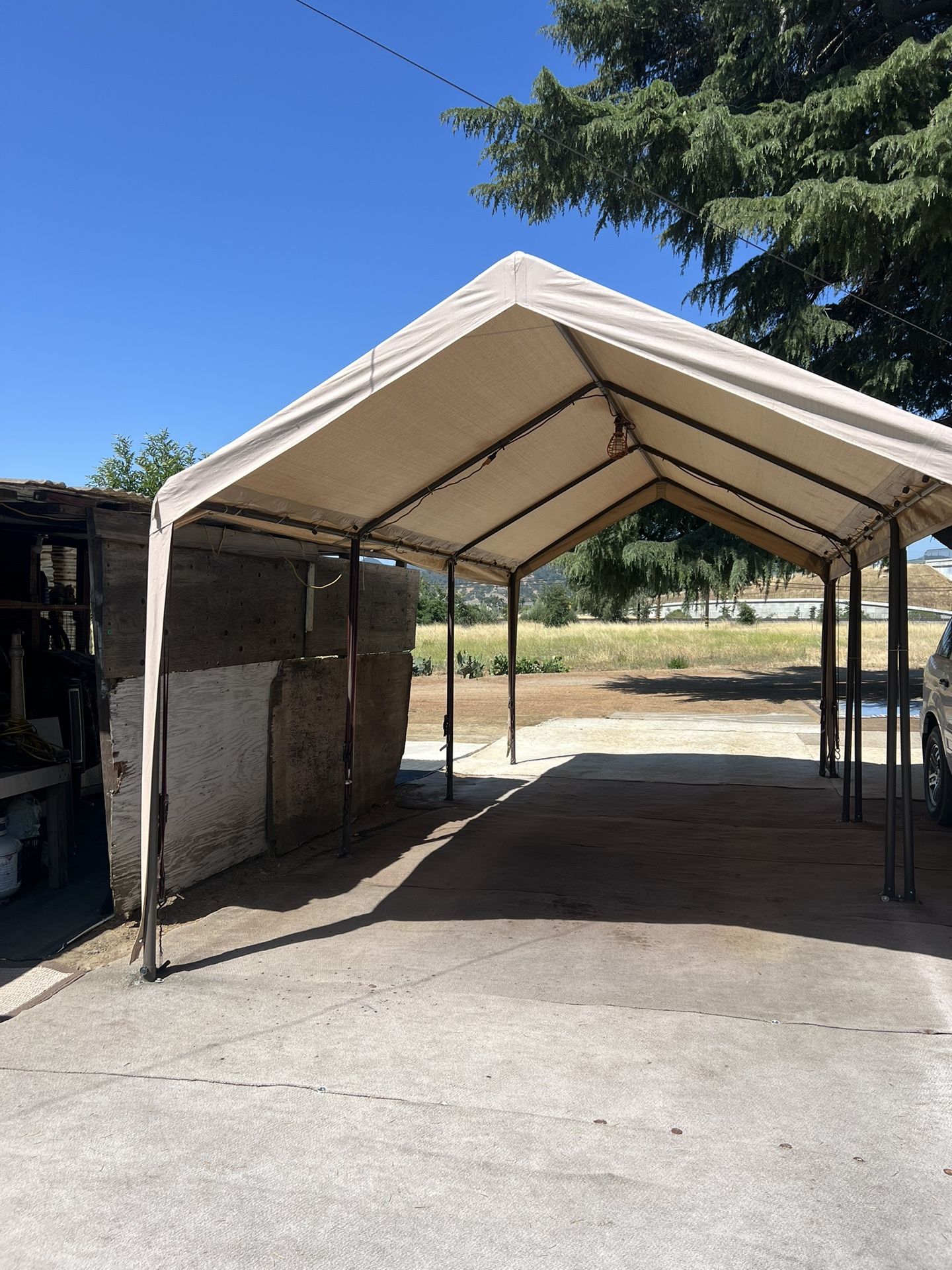 Carpa