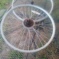 Bicycle Rims