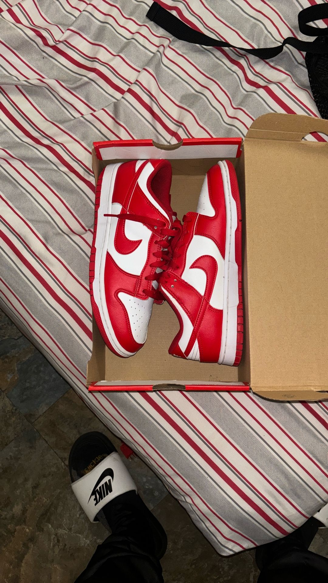 Nike Men Dunks