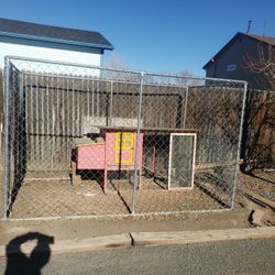 Dog Kennel