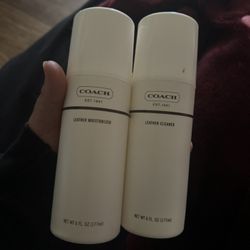 coach bag cleaners
