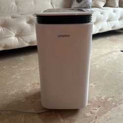 Waykar Dehumidifier 