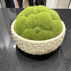 LARGE MOSS POT