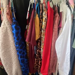 Blouses , Sweaters , Dresses